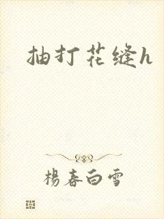 抽打花缝h