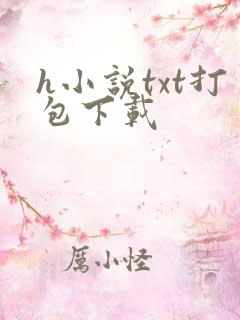 h小说txt打包下载