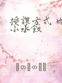 授课方式 肉馅小水饺