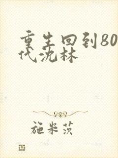 重生回到80年代沈林