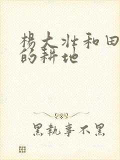 杨大壮和田桂花的耕地