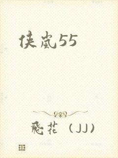 侠岚55