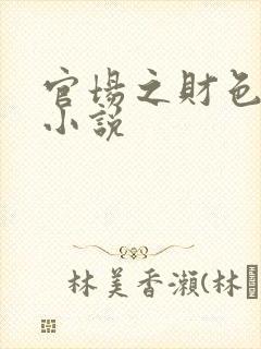 官场之财色诱人小说