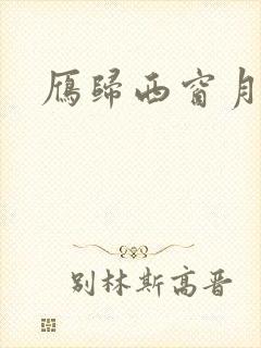 雁归西窗月小说