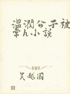 温润公子被脔日常h小说