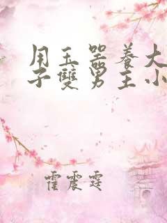 用玉器养大的皇子双男主小说