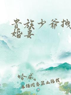 贵族少爷拽拽未婚妻