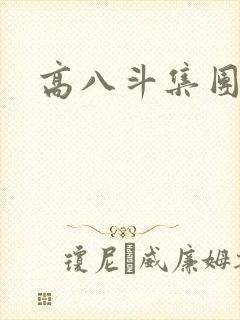 高八斗集团