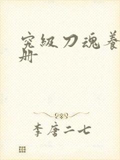 究级刀魂养成手册