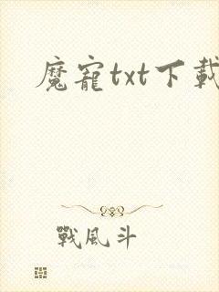 魔宠txt下载