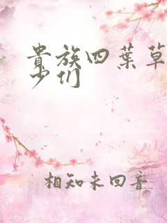 贵族四叶草的恶少们