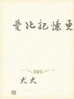 爱比记忆更长久