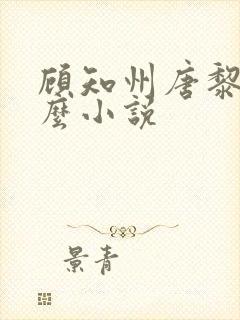 顾知州唐黎叫什么小说