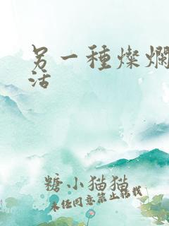 另一种灿烂的生活