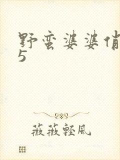 野蛮婆婆俏媳妇5