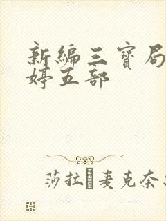 新编三宝局长许婷五部
