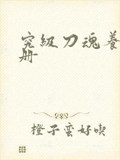 究级刀魂养成手册