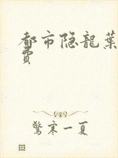 都市隐龙叶辰免费