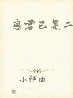 恋君已是二十年