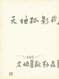 天地孤影我独行