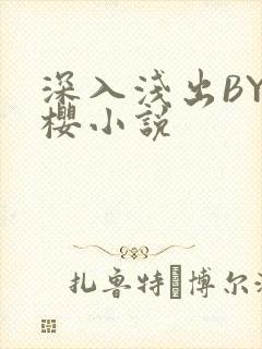 深入浅出BY胖樱小说