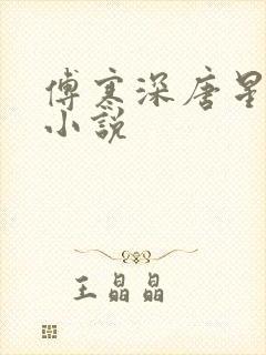 傅寒深唐星挽的小说