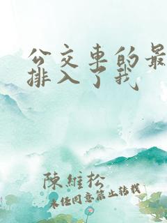 公交车的最后一排入了我