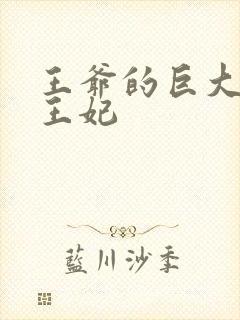 王爷的巨大进入王妃