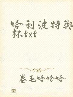 哈利波特与火焰杯txt