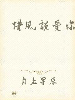 借风说爱你