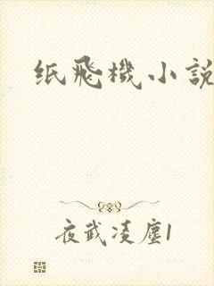 纸飞机小说