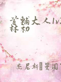 首辅大人1v2林初