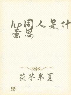 hp同人是什么意思