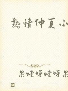 热情仲夏小说