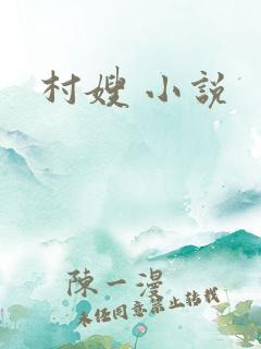 村嫂 小说