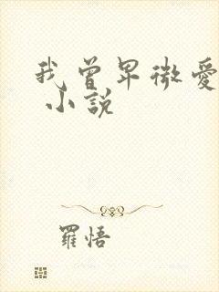 我曾卑微爱过你 小说