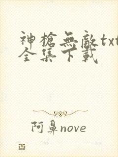 神枪无敌txt全集下载