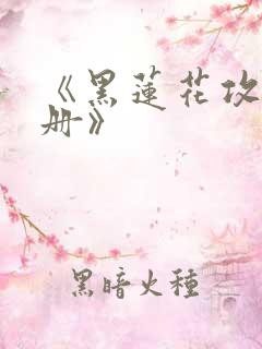 《黑莲花攻略手册》