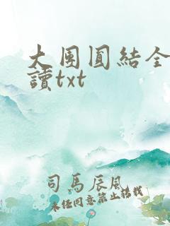 大团圆结全文阅读txt