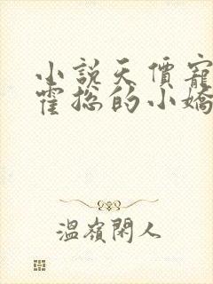 小说天价宠妻:霍总的小娇妻