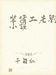 装修工老刘林雪小说