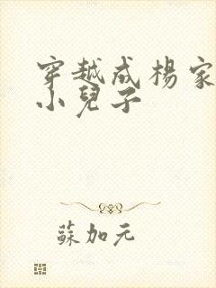 穿越成杨家将最小儿子