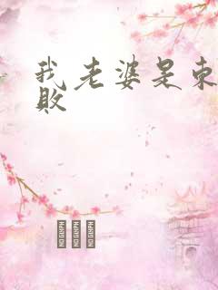 我老婆是东方不败