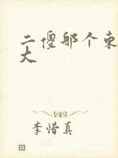 二傻那个东西真大