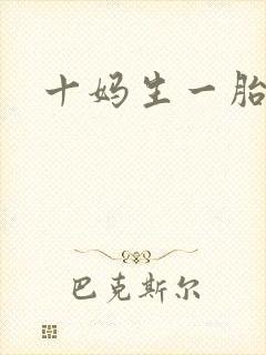 十妈生一胎