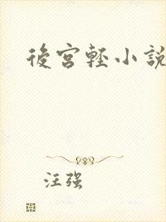 后宫轻小说