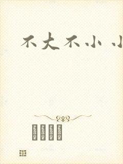不大不小 小说