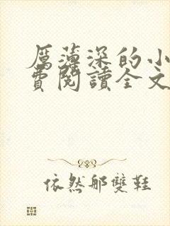 厉薄深的小说免费阅读全文