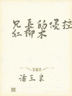 兄长的侵控by红柳木
