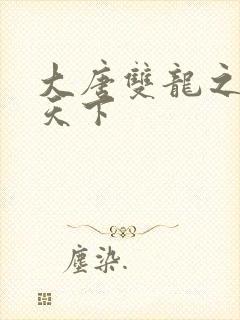 大唐双龙之无敌天下